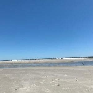 Meet your Posher, Molly